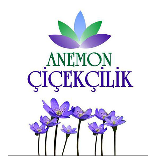 Anemon Çiçekçilik