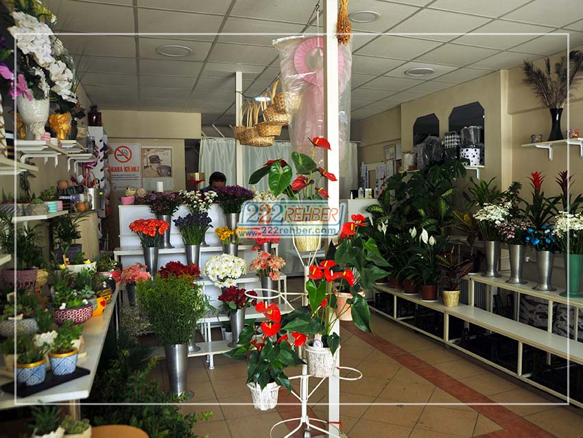 Anemon Çiçekçilik