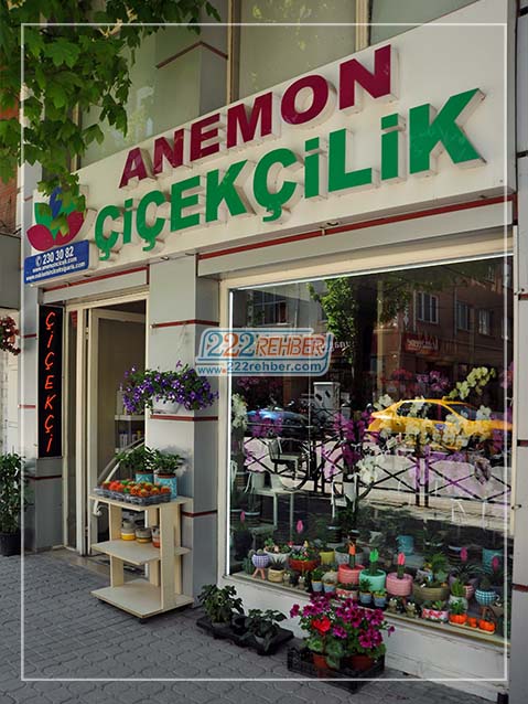 Anemon Çiçekçilik
