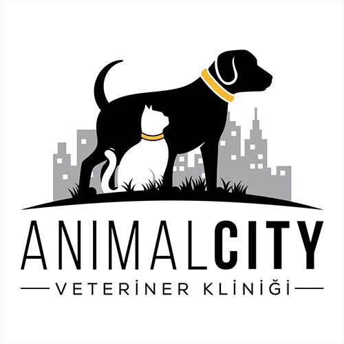 Animal City Veteriner Kliniği