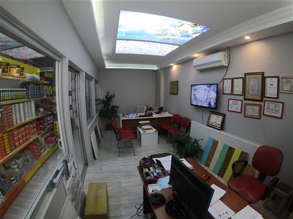 Asma Tavan Dünyası