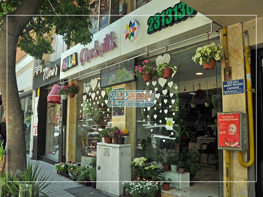 Ayla Çiçekçilik Organizasyon