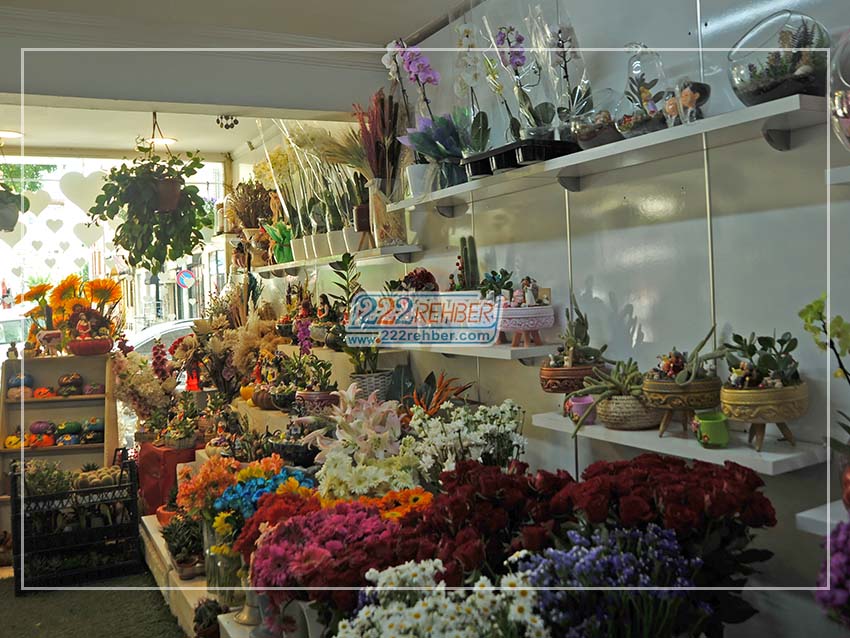 Ayla Çiçekçilik Organizasyon