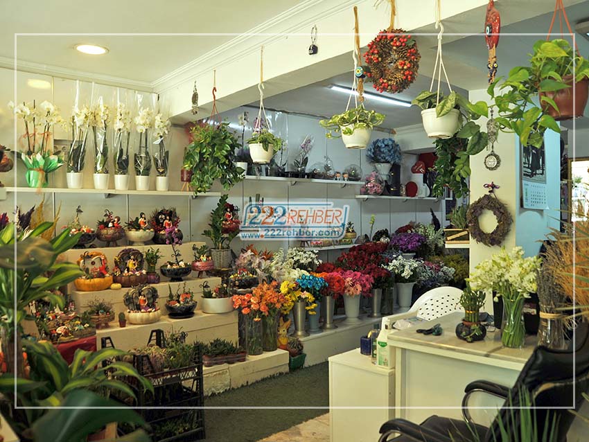 Ayla Çiçekçilik Organizasyon