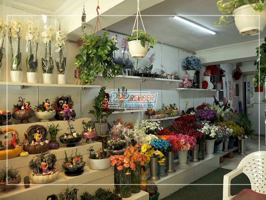 Ayla Çiçekçilik Organizasyon