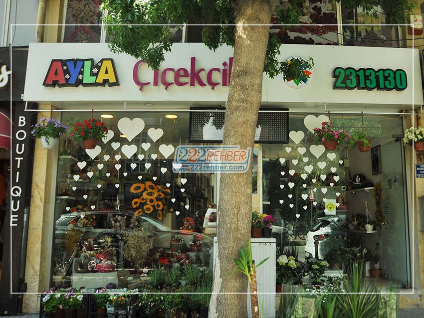 Ayla Çiçekçilik Organizasyon