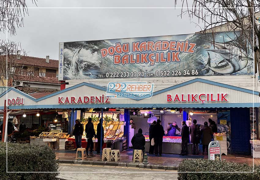 Doğu Karadeniz Balıkçılık