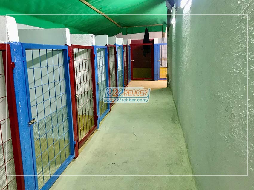 Es Pati Köpek Eğitim Merkezi