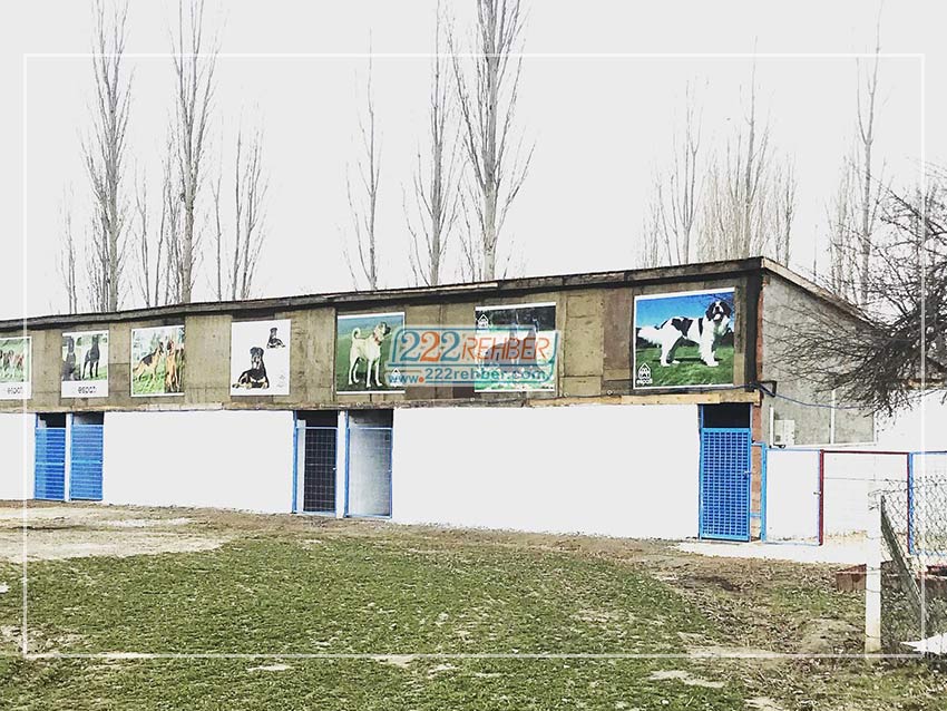 Es Pati Köpek Eğitim Merkezi