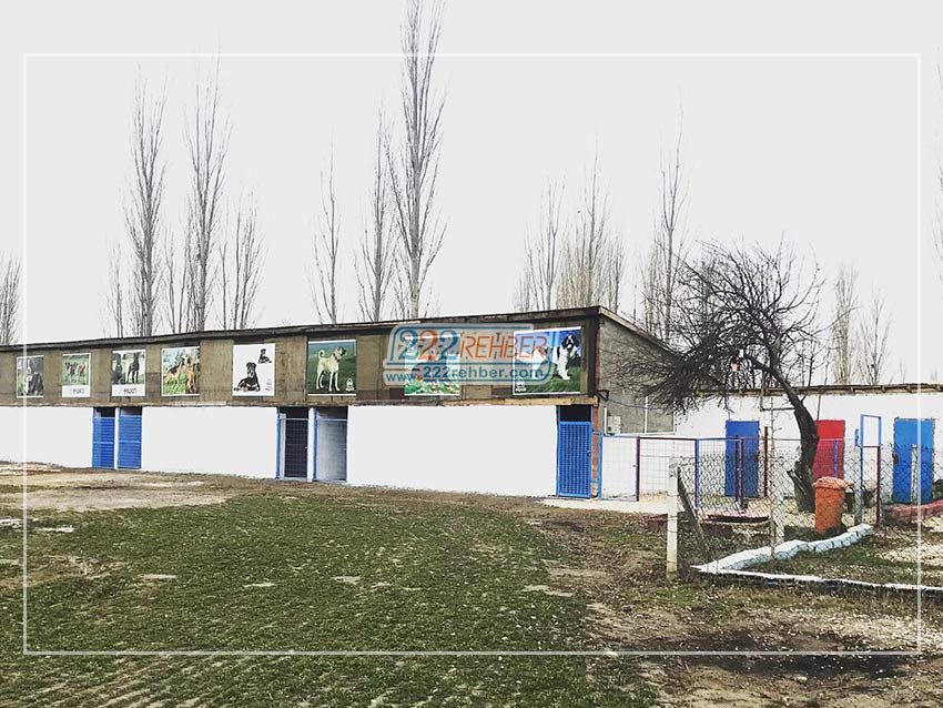 Es Pati Köpek Eğitim Merkezi