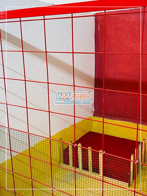 Es Pati Köpek Eğitim Merkezi