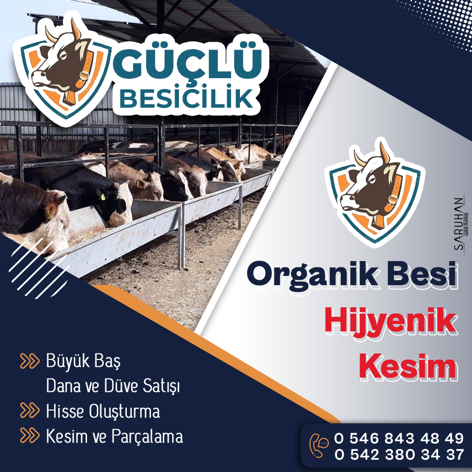 Güçlü Besicilik