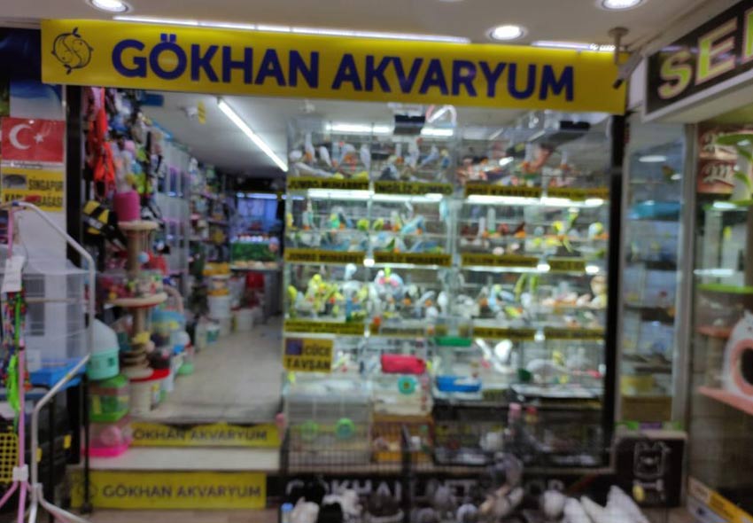 Gökhan Akvaryum Evcil Hayvanlar