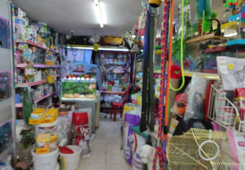 Gökhan Akvaryum Evcil Hayvanlar