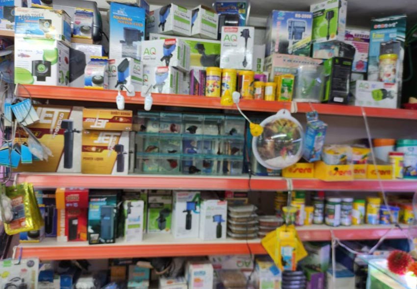 Gökhan Akvaryum Evcil Hayvanlar