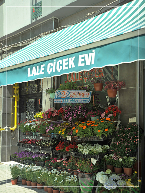 Lale Çiçek Evi