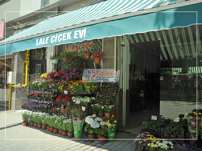 Lale Çiçek Evi