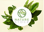 Nature Stock