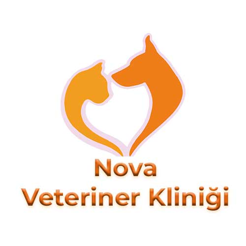 Nova Veteriner Kliniği