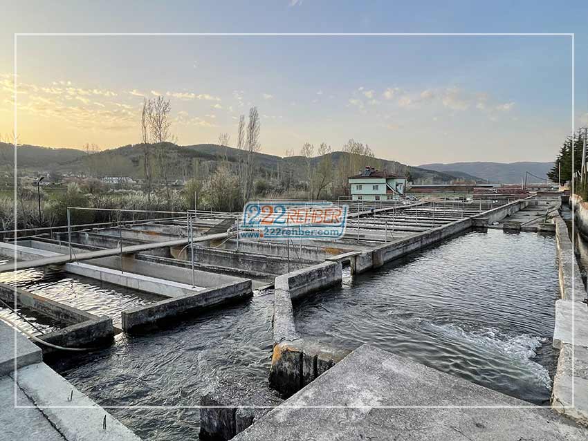 Serhat Alabalık Sofra