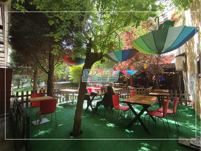 Tadım Tantuni Doktorlar