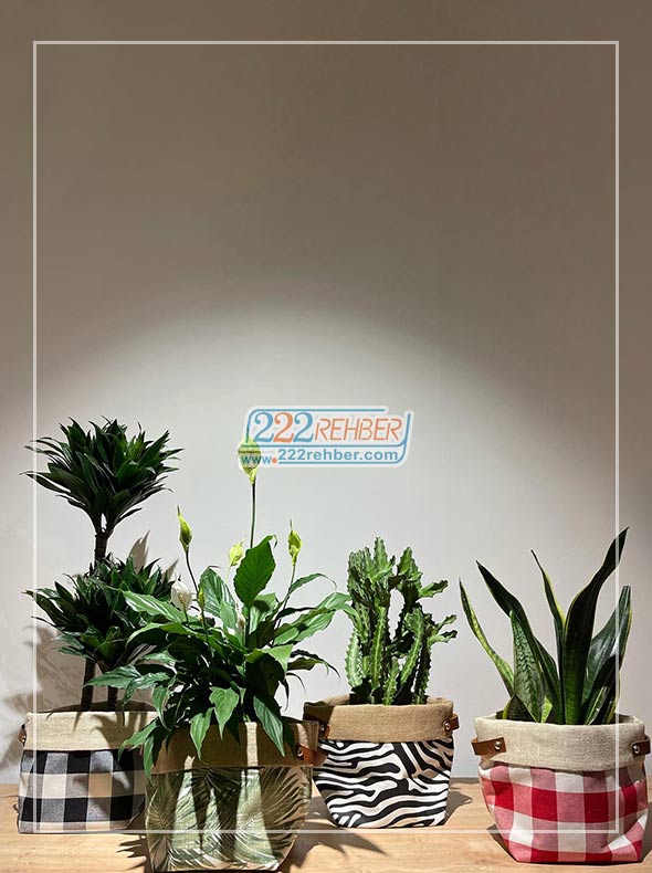 Toprak Landart Peyzaj & Sanat