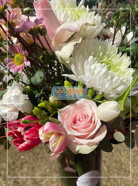 Toprak Landart Peyzaj & Sanat